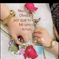 labella_477