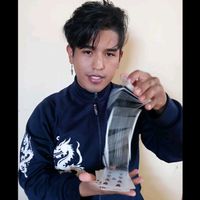 fervas_magic