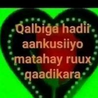 mohan__cr0