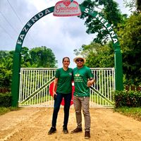 alessandromelodancemawe