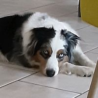 que les bg peuvent mettre se son