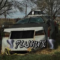 pluhmannn