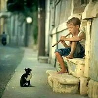 الصوت الأصلي