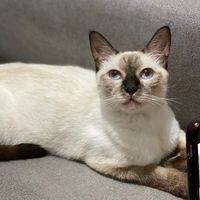 evaworld1