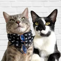 original sound - kimi.yukinho