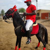 adji_hippopottame
