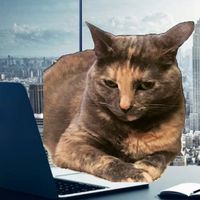 corporatekittykat
