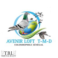 matar.diop.avenir