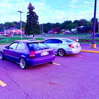purpcivic1