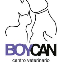 boycancv