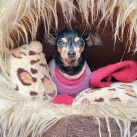 rescates_especiales13