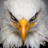 เสียงต้นฉบับ - สตอรี่_เพลง 🚫🐰