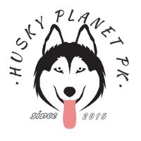 husky_planet_pk