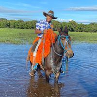 pereiradasilvawellinton