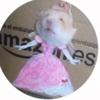 bubblywaterenthusiast