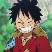 luffy195