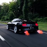 kauafernandes___