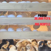 original sound - lagrandepoussiniere1