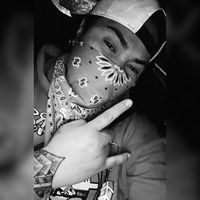 samoanrootz