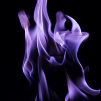 spis din syvende sans