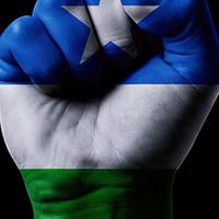 boqoradarbd0