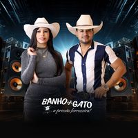 forro.banho.de.gato