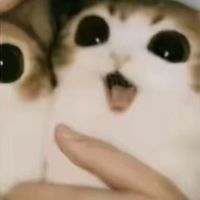 nicolewtf