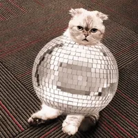 NEVER GROW UP FULL SONG SPED UP