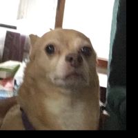 zodiac_signs_are_crazy32