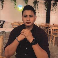 thepolito10