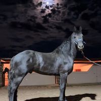 criaderolospavorrealesmx