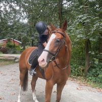 emilyautumn.eq