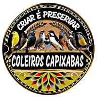 coleiroscapixabas