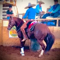 original sound - saulillofraire