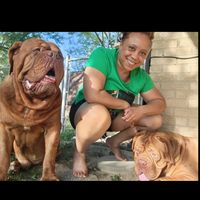sparrow_my_frenchmastiff
