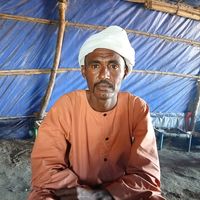 الصوت الأصلي