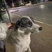 manzarasarki.story