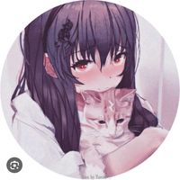 user2312984487193