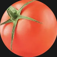 original sound - fisaavx