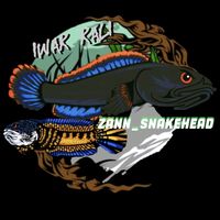 suara asli - Zann_Snakehead