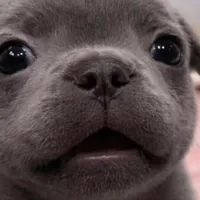 original sound - jijijiji6969