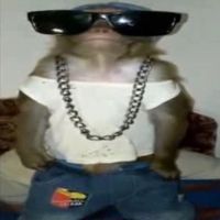 _g3mzz