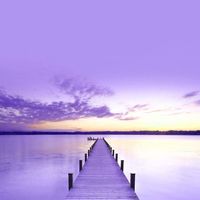 cituation....cituation