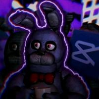 bonnietop_13