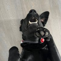 Originalton