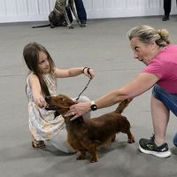 dog_show_nobody