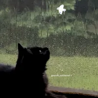 original sound - michi_solitario17