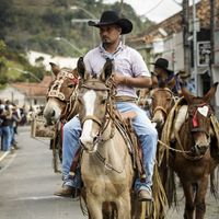 allanguimares7