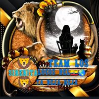 carmenquillupangui.com