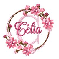 clia.conceio2